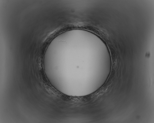 X0000090921205200708271018