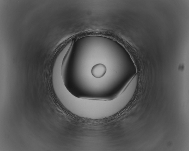 X0000090921206200708271018