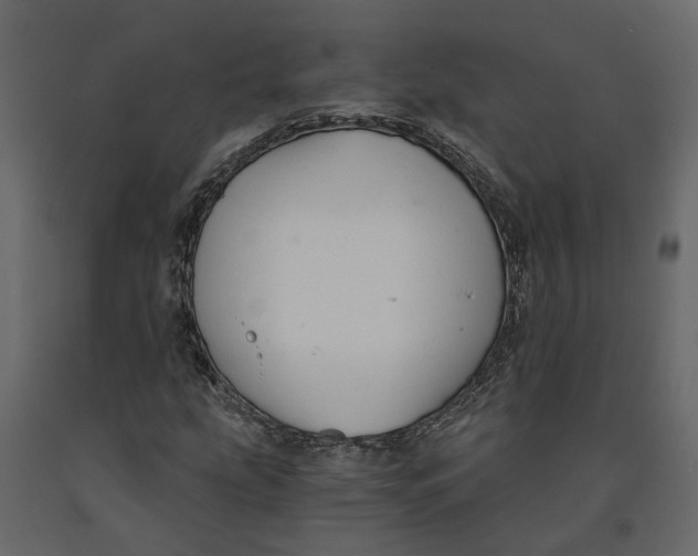 X0000090921207200708271018