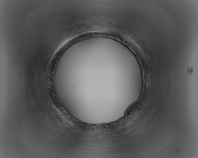 X0000090921208200708271018