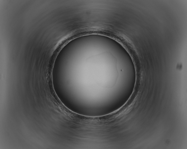 X0000090921210200708271018