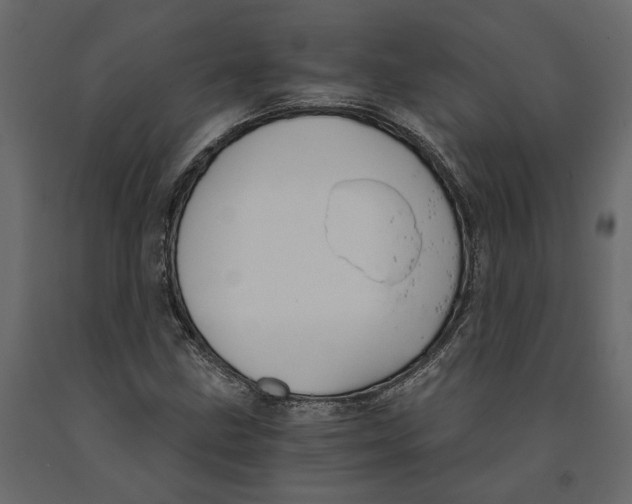 X0000090921211200708271018