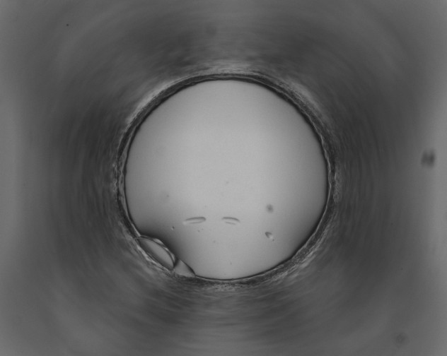 X0000090921212200708271018