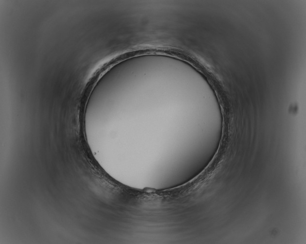 X0000090921214200708271018