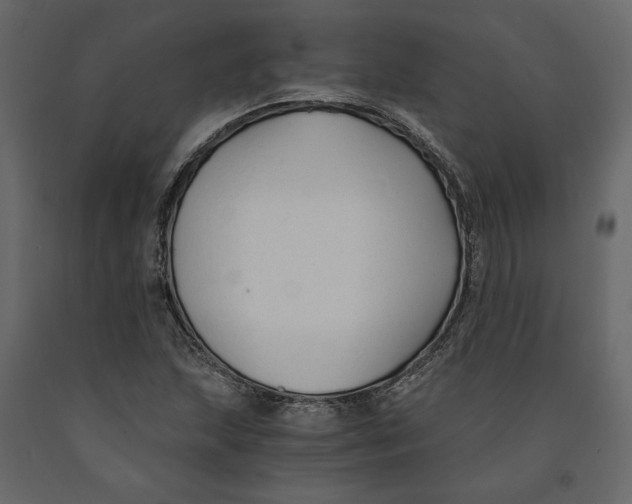 X0000090921215200708271018