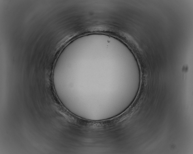 X0000090921217200708271018