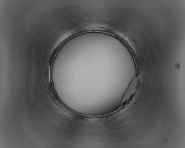 X0000090921219200708271018