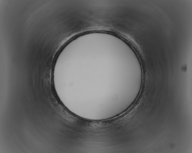 X0000090921220200708271018