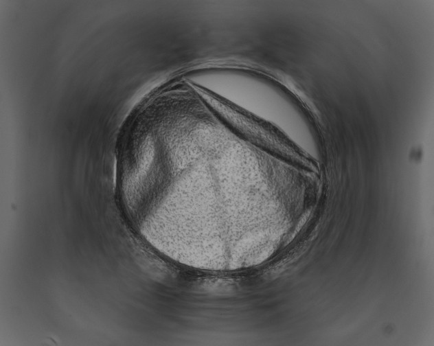 X0000090921221200708271018