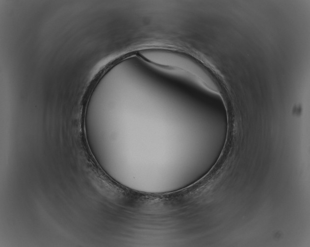 X0000090921222200708271018