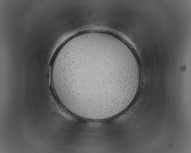 X0000090921223200708271018