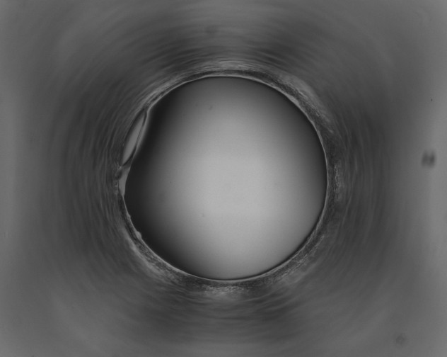 X0000090921225200708271018