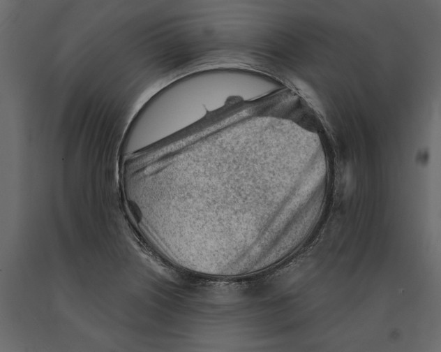 X0000090921226200708271018