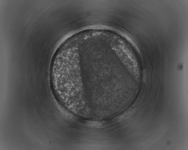 X0000090921229200708271018