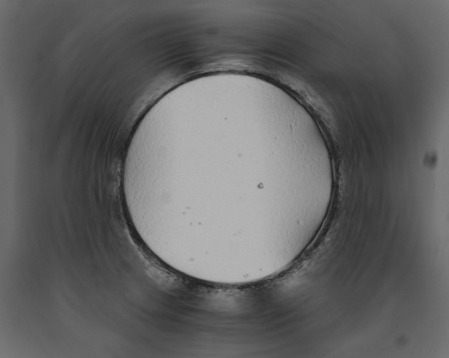 X0000090921233200708271018