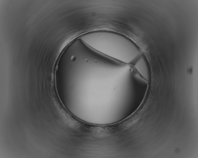 X0000090921234200708271018