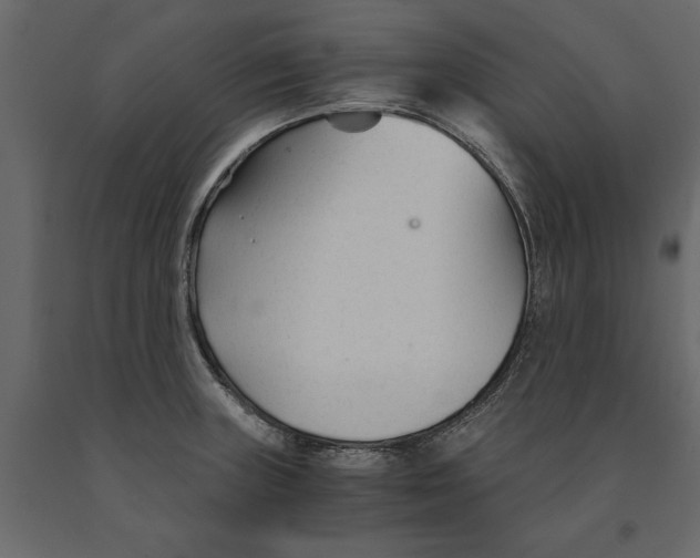 X0000090921235200708271018