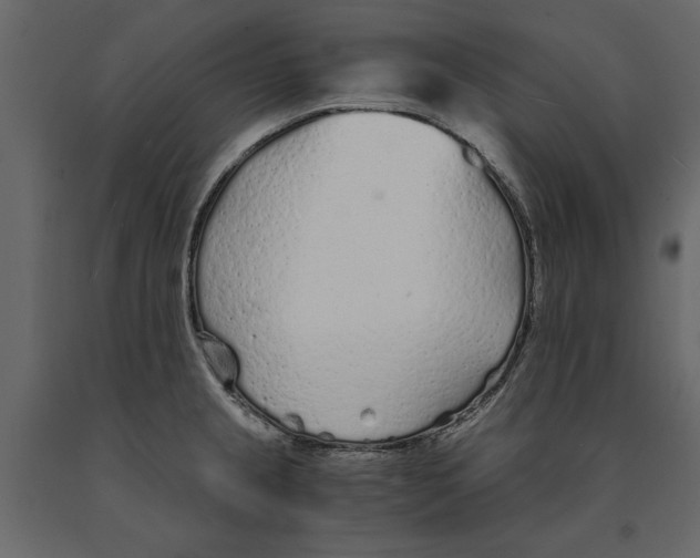 X0000090921237200708271018