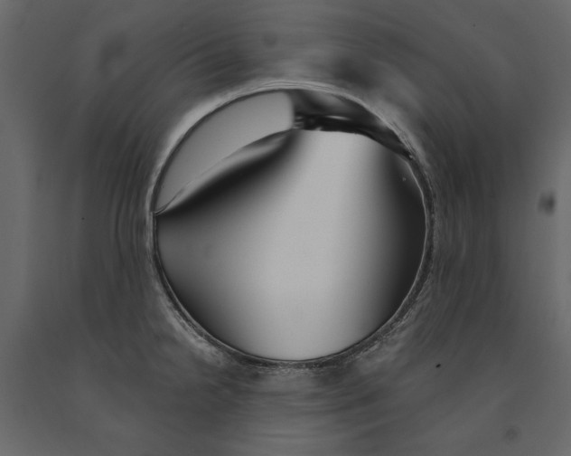 X0000090921238200708271018