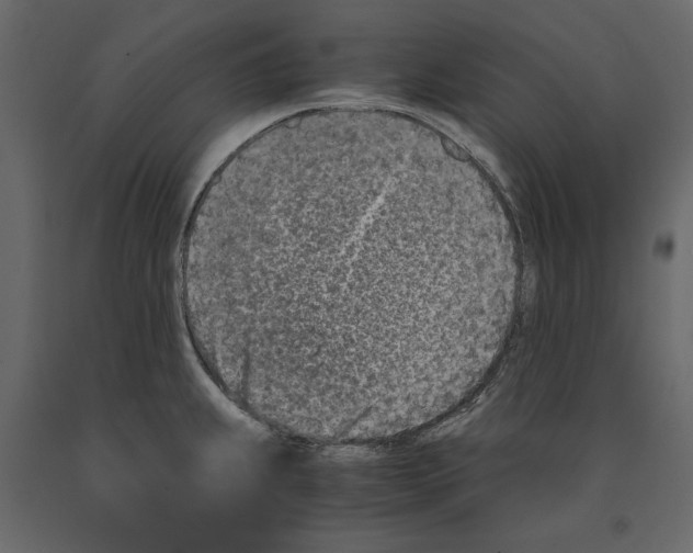 X0000090921239200708271018