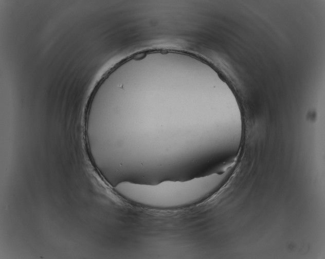 X0000090921240200708271018