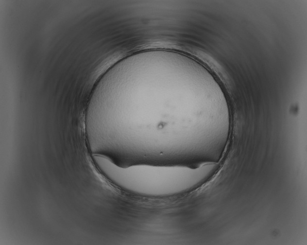 X0000090921241200708271018