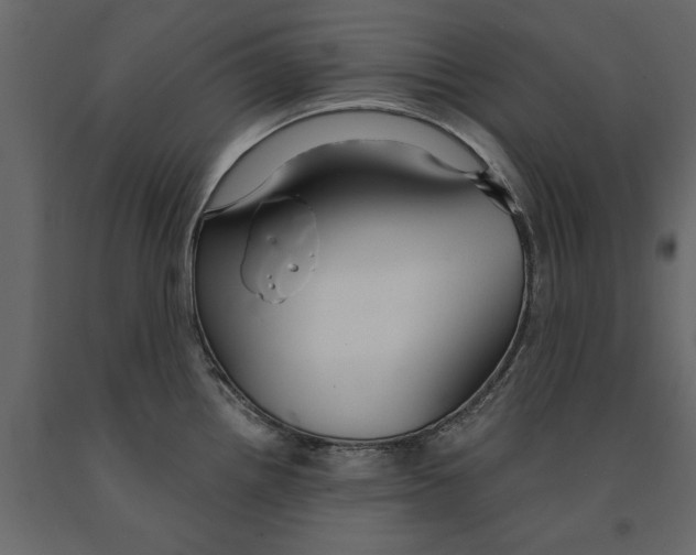 X0000090921242200708271018