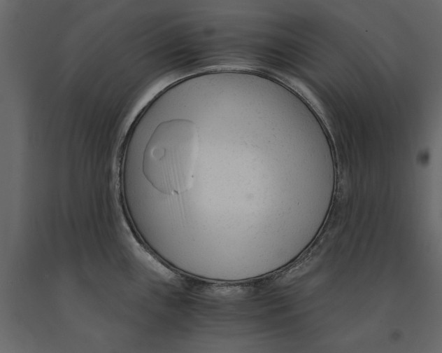 X0000090921243200708271018