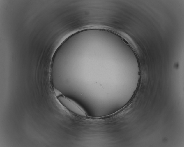 X0000090921244200708271018