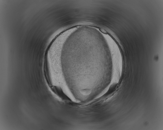 X0000090921245200708271018