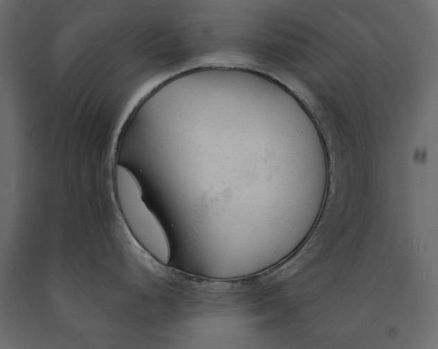 X0000090921248200708271018