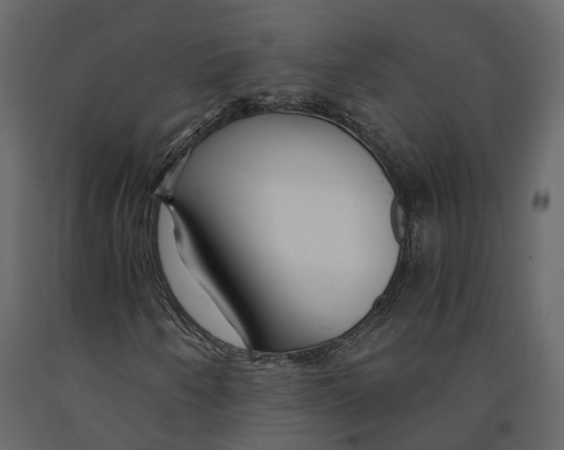 X0000090921250200708271017