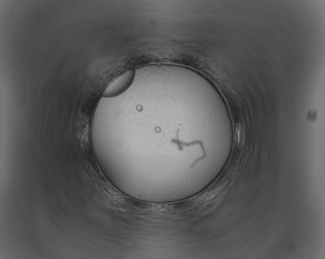 X0000090921251200708271017