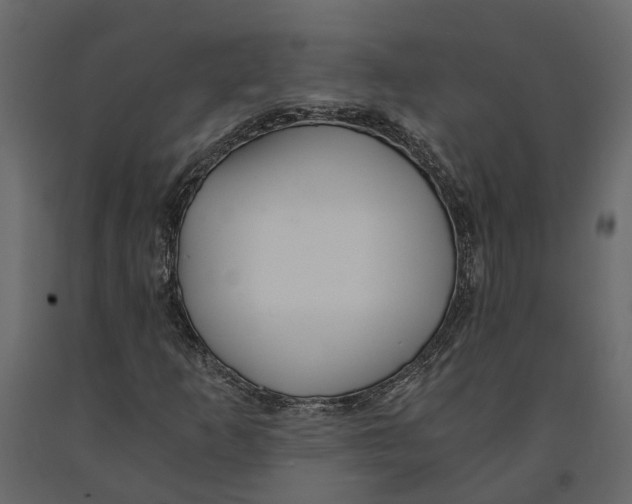 X0000090921253200708271017