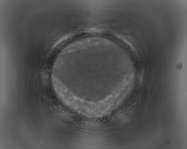 X0000090921254200708271017