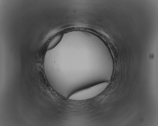 X0000090921255200708271017