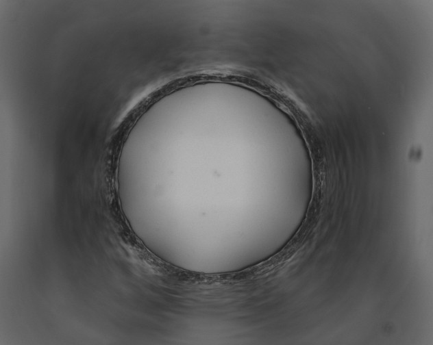 X0000090921256200708271017