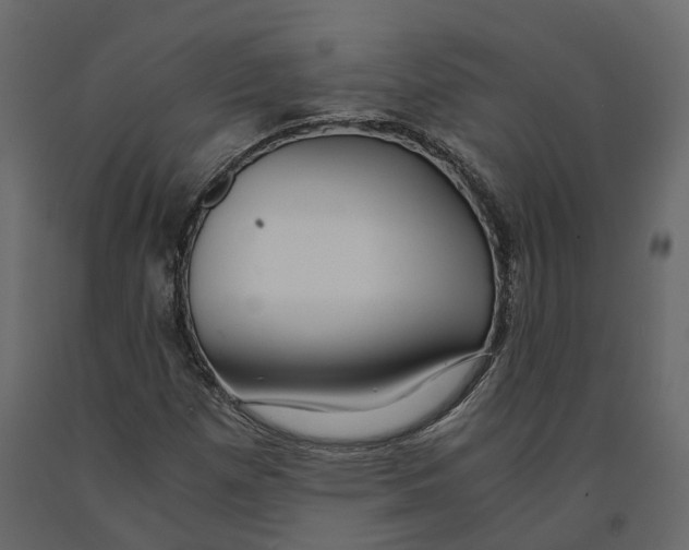 X0000090921257200708271017