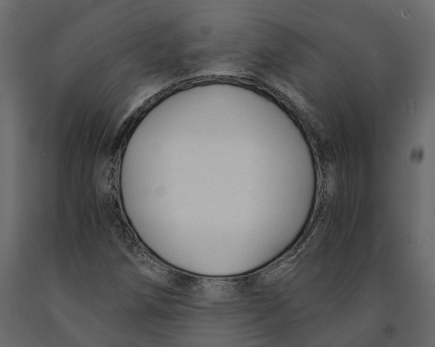 X0000090921258200708271017