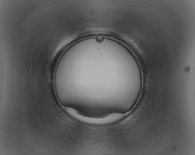 X0000090921261200708271017