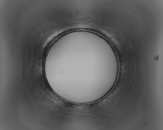 X0000090921262200708271017