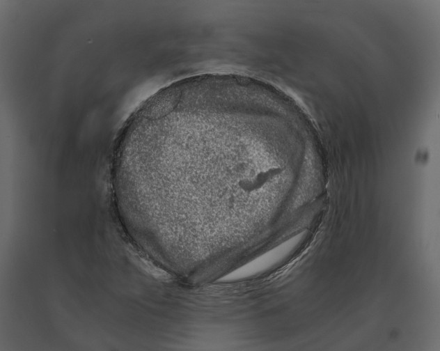 X0000090921263200708271017