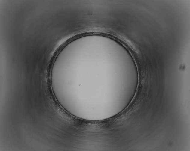 X0000090921264200708271017