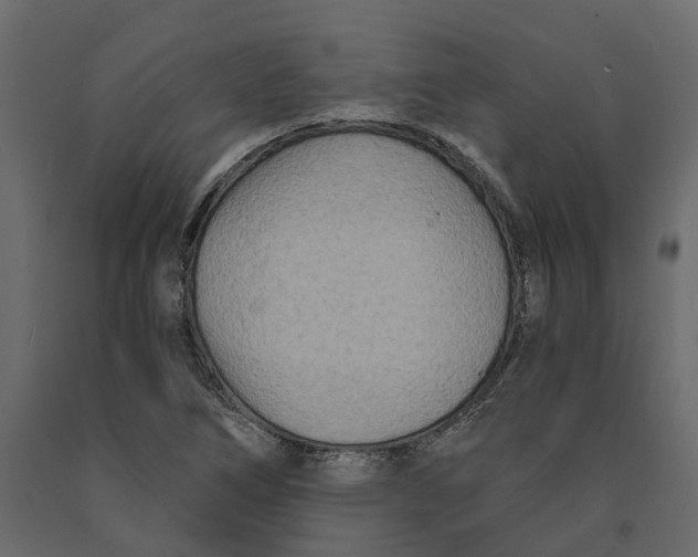 X0000090921266200708271017