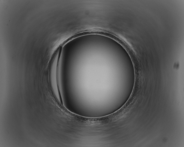 X0000090921269200708271017