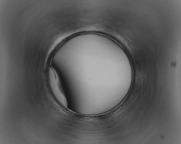 X0000090921270200708271017