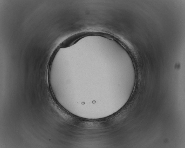 X0000090921272200708271017