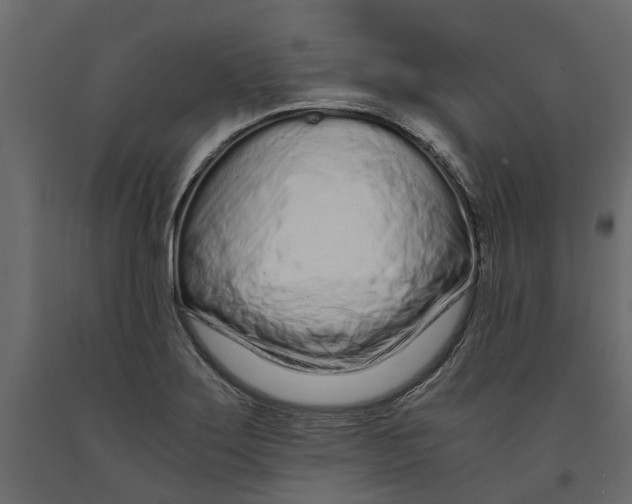 X0000090921275200708271017