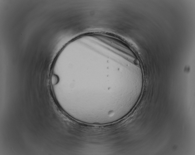 X0000090921279200708271017