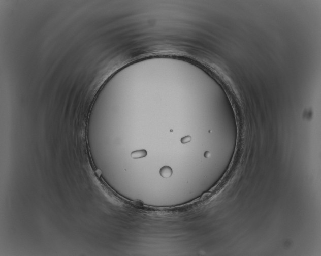 X0000090921281200708271017